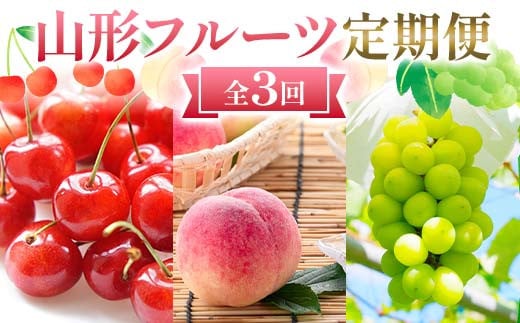 定期便 6月 佐藤錦 500g 8月 桃 6玉～9玉 9月 シャインマスカット 1房【令和8年発送】 FSY-2194
