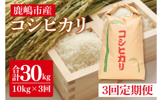 【先行予約】【定期便】コシヒカリ10kg×3回　鹿嶋市産【こしひかり 茨城県 鹿嶋市 75000円以内】（KDS-6）