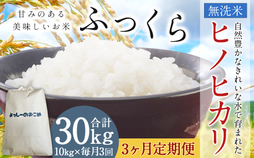 【3回定期便】令和6年産 熊本 益城町 無洗米 ヒノヒカリ 10kg×3回 合計30kg 米 お米