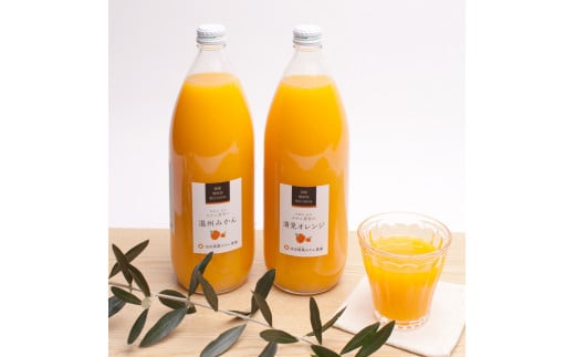 無添加 有田のジュース 詰合せ 1000ml×2本 2種【順次発送】 【IKE137】 880739 - 和歌山県かつらぎ町