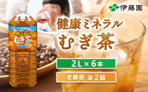 『定期便:全2回』健康ミネラルむぎ茶2L×6本