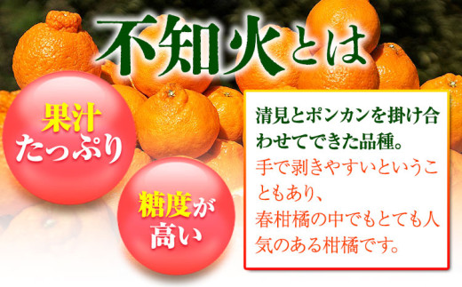 和歌山県日高川町のふるさと納税 完熟 不知火 ( デコポン )と同品種 約10kg S～2L 家庭用 サイズ混合 横川果樹園 《3月中旬-4月末頃出荷》 和歌山県 日高川町 不知火 みかん 果物 柑橘 フルーツ 送料無料
