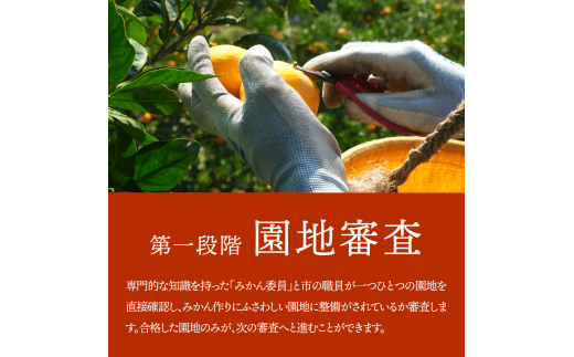 ※画像はイメージです