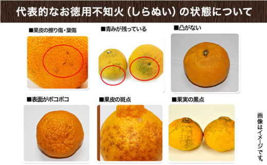 和歌山県日高川町のふるさと納税 完熟 不知火 ( デコポン )と同品種 約10kg S～2L 家庭用 サイズ混合 横川果樹園 《3月中旬-4月末頃出荷》 和歌山県 日高川町 不知火 みかん 果物 柑橘 フルーツ 送料無料
