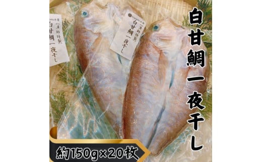 ＜遠州灘産＞白甘鯛の一夜干し　約150g×20枚【1587743】 1998863 - 静岡県湖西市