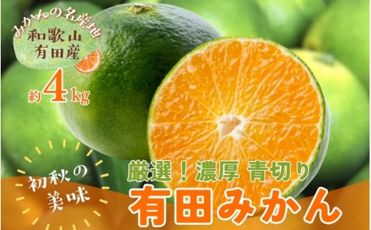 【先行予約】厳選 青切り有田みかん 約4kg【サイズ混合】【和歌山県産】【2024年9月中旬より発送】 965309 - 和歌山県かつらぎ町