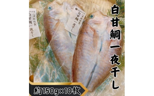 ＜遠州灘産＞白甘鯛の一夜干し　約150g×10枚【1587740】 1998862 - 静岡県湖西市