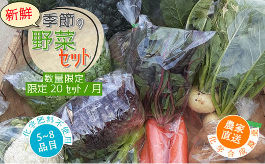 【数量限定】すが農園の季節の野菜セット（5～8品目）｜千葉県神崎町 ふるさと納税[023-a001]