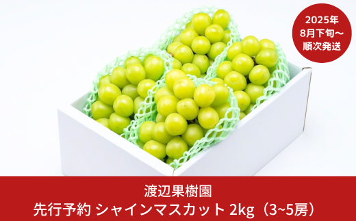 先行予約 シャインマスカット2kg (3~5房) [8月下旬から発送予定] 令和7年度 贈答用 シャインマスカット 新潟県 三条市産 ぶどう [渡辺果樹園] 【034S008】 869625 - 新潟県三条市