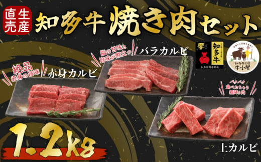 知多牛 響 焼肉セット 1.2kg 上カルビ バラカルビ 赤身カルビ 生産直売 国産 牛肉 焼肉 肉 カルビ 牛 牛肉 焼肉 肉 カルビ 牛 ワイン 焼肉 肉 カルビ 牛 牛丼 牛肉 焼肉 肉 国産牛 カルビ 牛 BBQ 牛肉 焼肉 肉 カルビ 牛 ふるさと納税牛肉 ふるさと納税焼肉 ふるさと納税カルビ 牛肉 焼肉 肉 牛 バーベキュー 愛知県 南知多町 人気 おすすめ