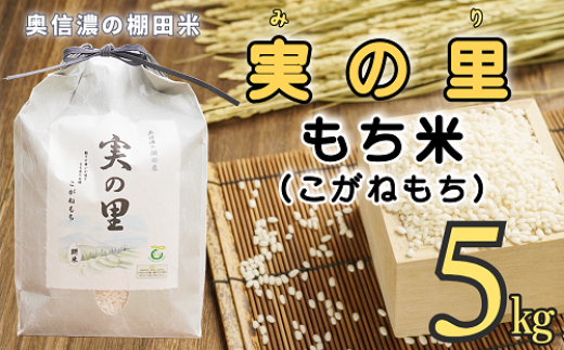 【令和6年産】長野県産 もち米 こがねもち『奥信濃の棚田米 実の里 5kg』 (6-94A) 1998923 - 長野県飯山市