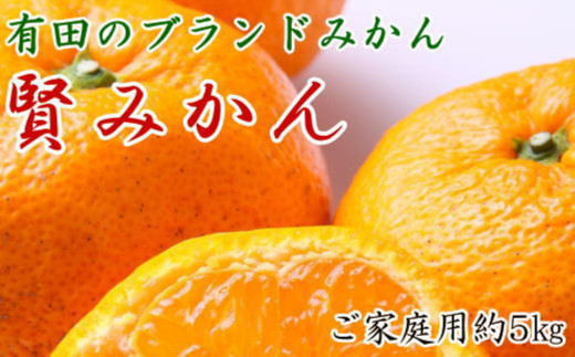有田のブランド「賢みかん」約5kg サイズ混合 ご家庭用【2025年11月中旬頃より順次発送】