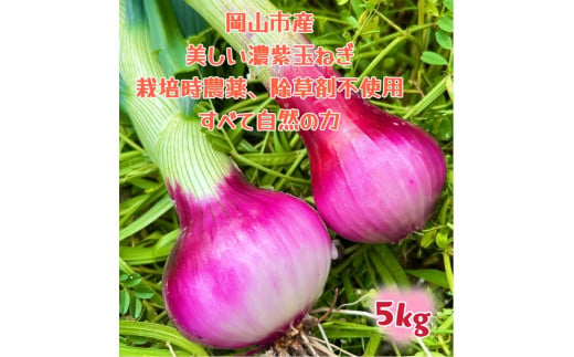 【先行予約】岡山市産 赤紫玉ねぎ5kg(サイズ混合)栽培期間中農薬・除草剤不使用自然の力健康野菜