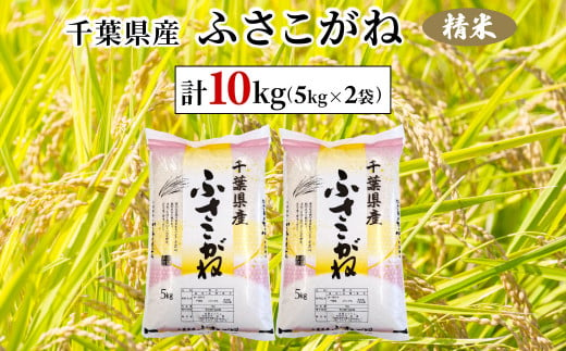 令和6年産　千葉県産ふさこがね 精米 10kg(5kg×2袋)  ふるさと納税 ふさこがね 米 精米 こめ 千葉県 茂原市 MBAD004 1997620 - 千葉県茂原市