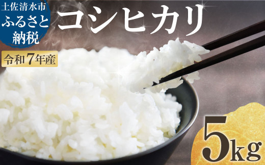 2025年8月より順次発送 令和7年産 新米 コシヒカリ 精米 5kg 白米 お米 ご飯 ごはん おにぎり 米 こめ こしひかり 高知県産 美味しい おいしい【R01359】 1998936 - 高知県土佐清水市