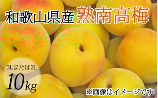 【梅干・梅酒用】（3Lまたは2L－約10Kg）熟南高梅【2025年6月上旬～7月7日発送予定】【ART05】