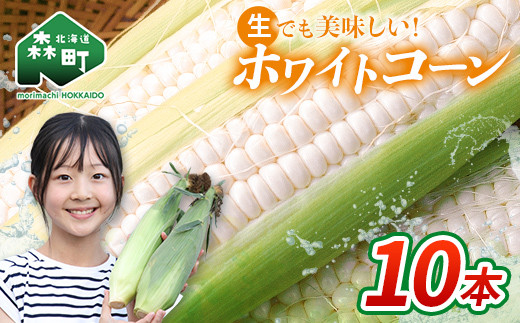 【先行予約】10本 白い とうもろこし ホワイトコーン L～2L（2026年7月下旬～9月中旬までに順次お届け） 北海道産 森町産 トウモロコシ とうきび トウキビ 唐黍 野菜 やさい たっぷり 甘い 朝もぎ 期間限定 ふるさと納税 mr1-0871