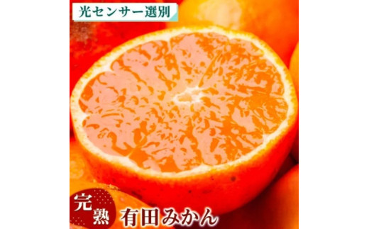 家庭用 完熟 有田みかん10kg+250g（傷み補償分）サイズ混合 ※北海道・沖縄・離島への配送不可 ※2025年11月上旬～2026年1月下旬頃に順次発送予定