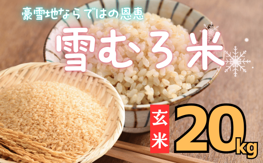 【令和6年産】「北信州いいやま 雪むろ米」 玄米 20kg (6-93A) 1998924 - 長野県飯山市