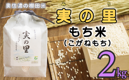 【令和6年産】長野県産 もち米 こがねもち『奥信濃の棚田米 実の里 2kg』 (6-63C) 1998922 - 長野県飯山市