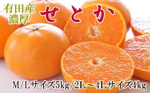 一度は食べていただきたい「有田産のせとか」約4～5kg（サイズおまかせ）【2026年2月中旬～2026年3月上旬頃より順次発送】【TM138】 945181 - 和歌山県かつらぎ町