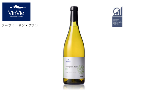 VI09-25F VinVie 白ワイン ソーヴィニヨン・ブラン // 長野県 南信州 日本ワイン 白ワイン 葡萄酒 辛口 長野県産ワイン GI長野