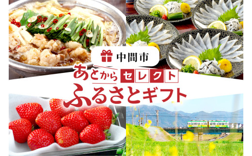 あとからセレクト【ふるさとギフト】寄附80万円相当【sp081-0025】 1999343 - 福岡県中間市