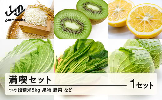山形県産 産直 やまのべ温泉市 満喫セット F20A-565 239878 - 山形県山辺町