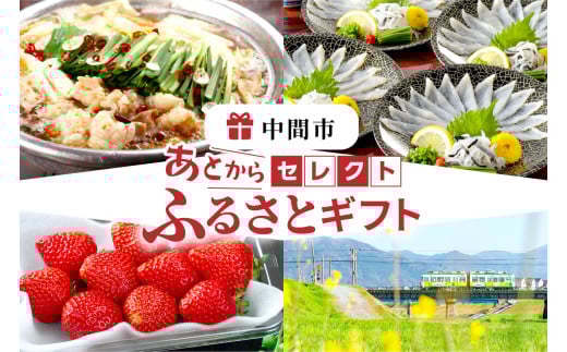 あとからセレクト【ふるさとギフト】寄附55万円相当【sp081-0020】 1999346 - 福岡県中間市