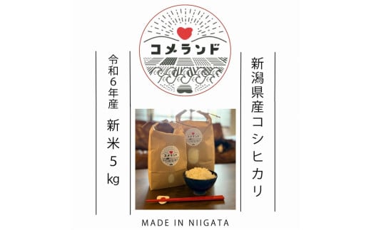 新潟県上越市のふるさと納税 令和6年産 上越市産 コシヒカリ 5kg 新米 精米 新潟 米 新潟県 こしひかり 限定 おすすめ