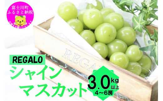 山梨県富士川町のふるさと納税 【2025年発送分 先行予約】頬張る幸福感　～緑の宝石・シャインマスカット～　３ｋｇ以上（４～６房） フルーツ 山梨県産 果物 シャイン マスカット ぶどう ブドウ 大粒 種なし 種無し 先行予約 富士川町
