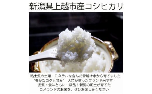 新潟県上越市のふるさと納税 令和6年産 上越市産 コシヒカリ 5kg 新米 精米 新潟 米 新潟県 こしひかり 限定 おすすめ