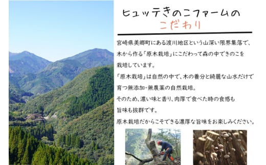 アイテムID:320748の画像4枚目