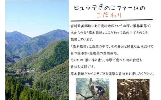 アイテムID:320748の画像4枚目