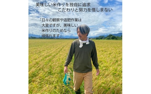 新潟県上越市のふるさと納税 令和6年産 上越市産 コシヒカリ 5kg 新米 精米 新潟 米 新潟県 こしひかり 限定 おすすめ