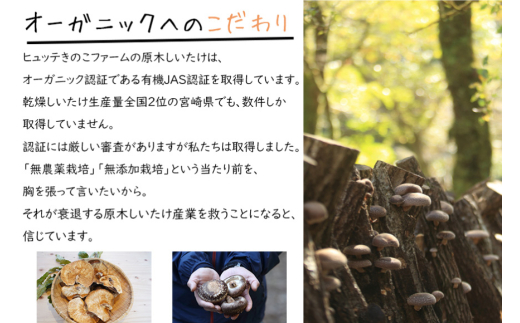 アイテムID:320748の画像5枚目