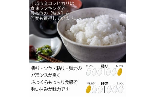 新潟県上越市のふるさと納税 令和6年産 上越市産 コシヒカリ 5kg 新米 精米 新潟 米 新潟県 こしひかり 限定 おすすめ