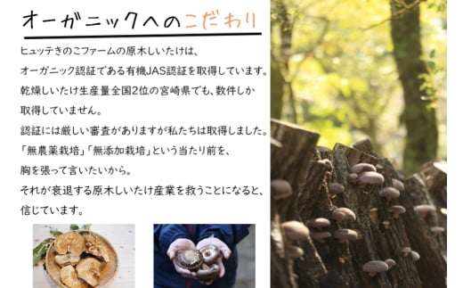 アイテムID:320748の画像5枚目