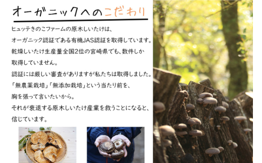 アイテムID:320748の画像5枚目