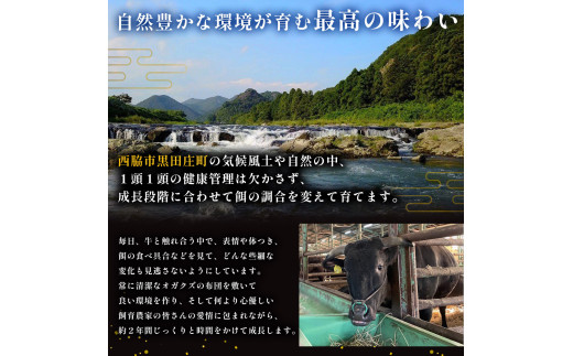 「但馬牛」の子牛に納得行くまで愛情をそそぎ、自然豊かな環境の中で育て上げた傑作の牛が「黒田庄和牛」です。