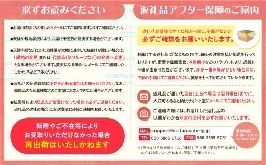 先行予約》大江町産 山形ラ・フランス 5kg 13～20玉 L～5L【2024