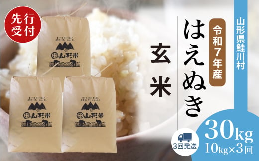 ＜令和7年産米先行受付＞ 鮭川村 はえぬき 【玄米】 30kg定期便 （10kg×3回発送）＜配送時期選べます＞ 1999472 - 山形県鮭川村