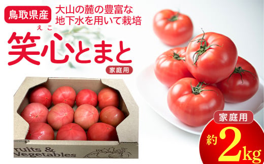 鳥取県産笑心とまと 2kg （家庭用・簡易包装） トマト 新鮮トマト 鳥取トマト 笑心とまと 野菜 リコピン サラダ 野菜 新鮮 鮮度 抜群 トマト 2006747 - 鳥取県倉吉市