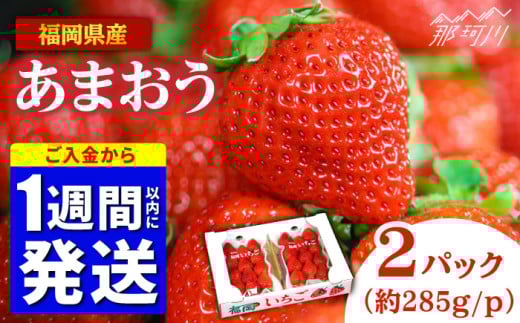 あまおう 1週間以内発送！『自然環境農法』で育てた福岡県産 あまおう 約285g×2パック＜おおきべりー株式会社＞那珂川市 フルーツ いちご 果物 イチゴ 苺 あまおう いちご 期間限定 スピード発送 [GZE001] 284983 - 福岡県那珂川市