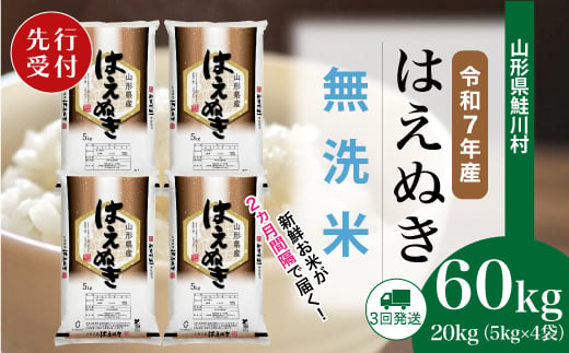 ＜令和7年産米先行受付＞ 鮭川村 はえぬき 【無洗米】 定期便 60kg （20kg×2ヶ月間隔で3回お届け）＜配送時期選べます＞ 1999480 - 山形県鮭川村