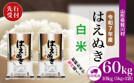 ＜令和7年産米先行受付＞ 鮭川村 はえぬき 【白米】 定期便 60kg （10kg×1ヶ月間隔で6回お届け）＜配送時期選べます＞ 1999477 - 山形県鮭川村