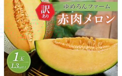 【先行予約／数量限定100】ゆめろんファームの赤肉メロン（訳あり品）（2026年6月上旬～発送）　DE00155