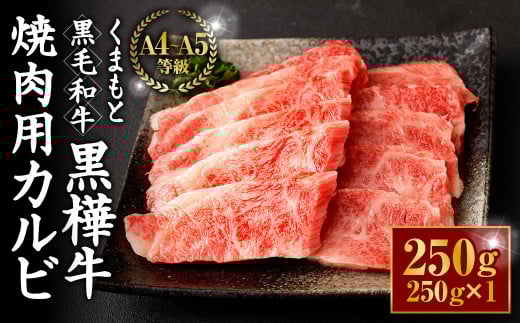 くまもと黒毛和牛 杉本本店 黒樺牛 A4~A5等級 焼肉用カルビ 250g 804389 - 熊本県相良村