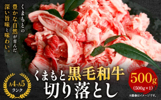 牛肉 A4～A5等級 黒毛和牛 切り落とし くまもと黒毛和牛 切り落とし 500g 《30日以内に出荷予定(土日祝除く)》 牛肉 くまもと黒毛和牛 冷凍 Esprit 1999485 - 熊本県大津町