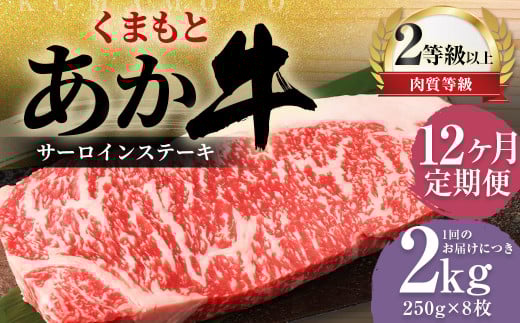 [12ヶ月定期便]くまもとあか牛 サーロイン 2.0kg(250g×8枚) 牛肉 牛 肉